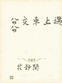 公交车上遇到公公