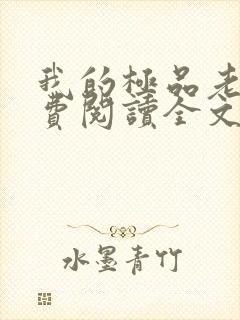我的极品老婆免费阅读全文