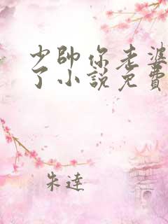 少帅你老婆又跑了小说免费阅读