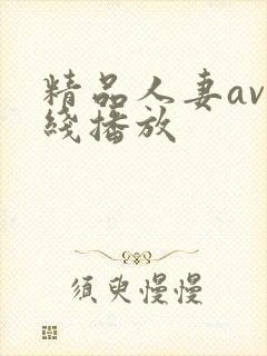 精品人妻av在线播放