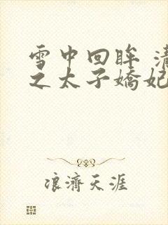 雪中回眸 清穿之太子娇妃