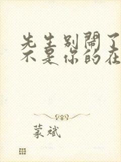 先生别闹了新娘不是你的在线免费播放