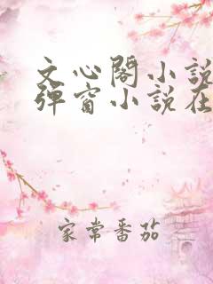 文心阁小说_无弹窗小说在线免费阅读