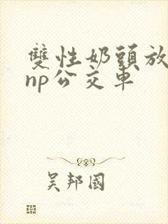 双性奶头放荡受np公交车