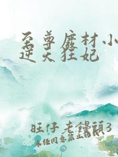 至尊废材小姐:逆天狂妃