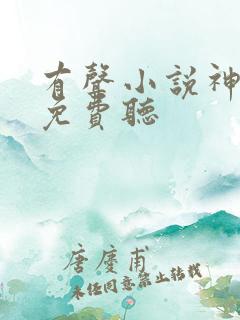 有声小说神王令免费听