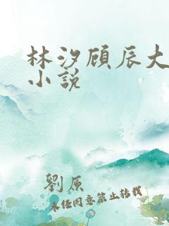 林汐顾辰大结局小说