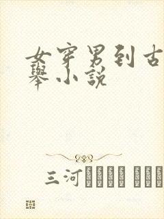 女穿男到古代科举小说