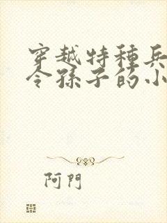 穿越特种兵成司令孙子的小说