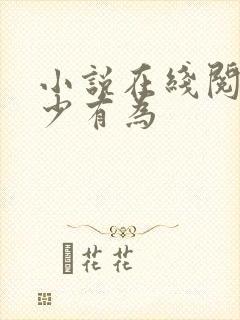 小说在线阅读年少有为