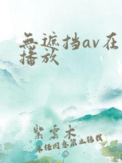 无遮挡av在线播放