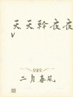天天干夜夜爱av