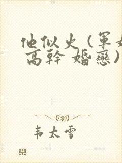 他似火 (军婚 高干 婚恋)完整版