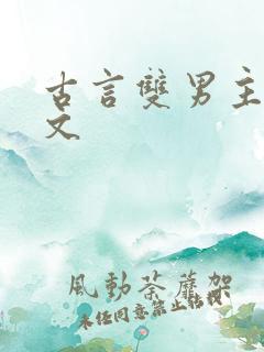 古言双男主高干文