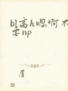 bl高h嗯啊不要np
