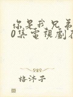 你是我兄弟全40集电视剧在线播放免费