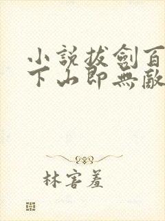 小说拔剑百年,下山即无敌全文阅读