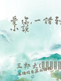 爱你,一错到底小说