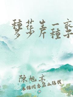 种花生一亩地用多少斤种子