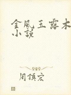 金风玉露木兮娘小说