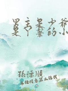 男主是少爷女主是丫鬟的小说