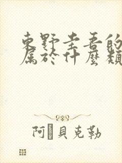 东野圭吾的小说属于什么类型