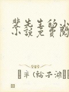 裴先生的小甜妻小说免费阅读