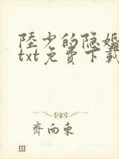 陆少的隐婚罪妻txt免费下载