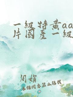 一级特黄aa大片国产一级