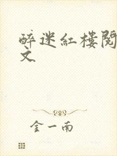 醉迷红楼阅读全文