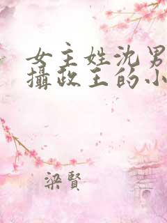 女主姓沈男主是摄政王的小说