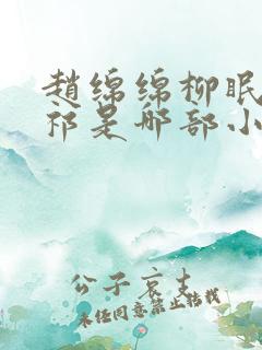 赵绵绵柳眠眠沈祁是哪部小说