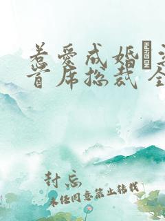 惹爱成婚·染指首席总裁 全文阅读