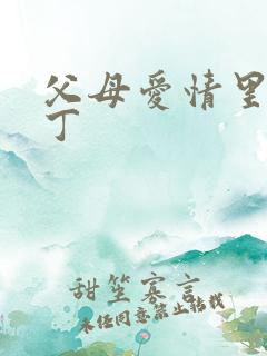 父母爱情里的老丁