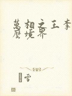 万相之王李洛什么境界