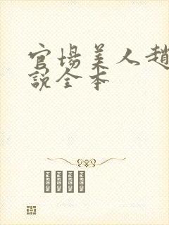 官场美人赵燕小说全本