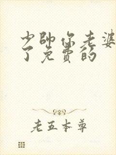 少帅你老婆又跑了免费的