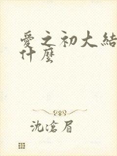 爱之初大结局是什么