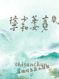 徐少华有几个儿子和女儿