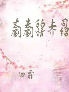 丈夫的上司电视剧剧情介绍