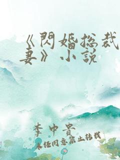 《闪婚总裁契约妻》小说