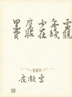 黑鹰少年电影免费版在线观看