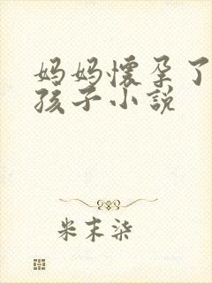 妈妈怀孕了我的孩子小说