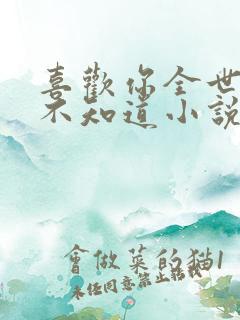喜欢你全世界都不知道小说免费阅读