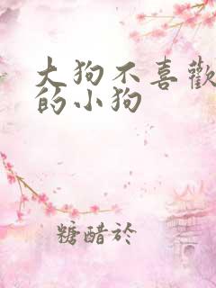 大狗不喜欢新来的小狗