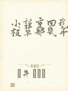 小说重回我爸当校草那几年