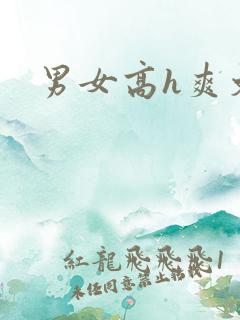 男女高h爽文
