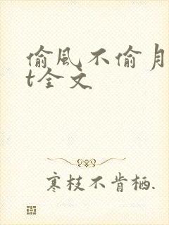 偷风不偷月txt全文