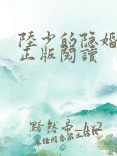 陆少的隐婚罪妻正版阅读