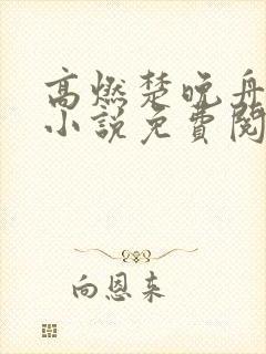 高燃楚晚舟重生小说免费阅读